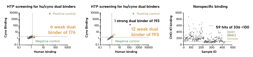 High-Throughput Functional Screening Accelerates Discovery of High-Quality Bispecific Antibody Leads