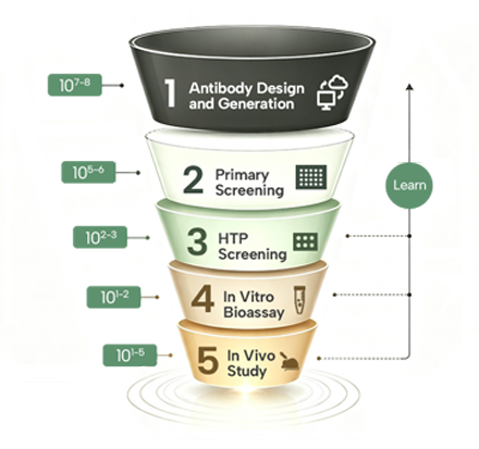 Comprehensive Screening Strategy: Balancing Functionality and Developability