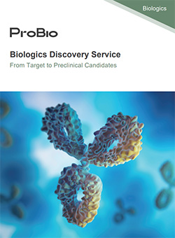 Discovery of Functional Antibody Leads at Early Stage of Lead Screening