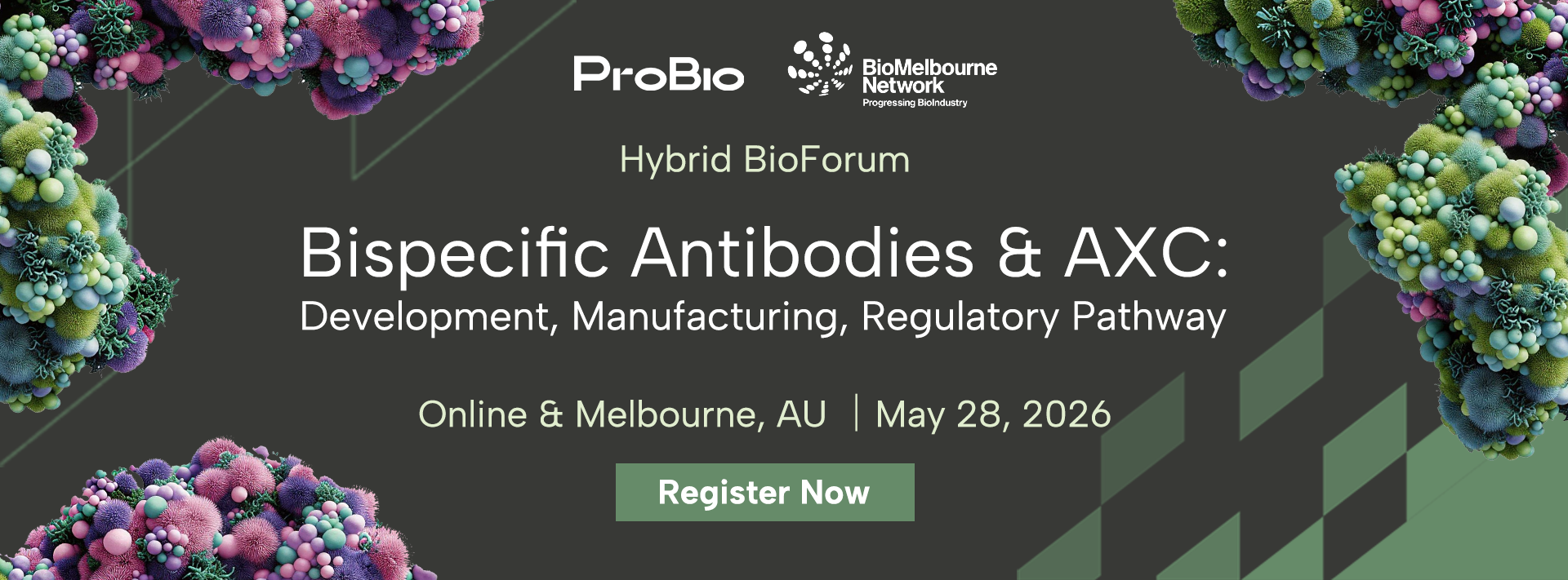 Molecule Focus: Bispecific Antibody (BsAb)