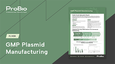 GMP Plasmid Manufacturing