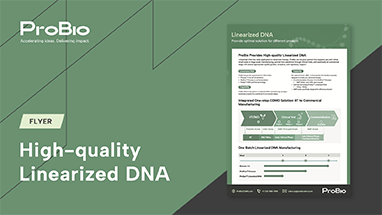 High-quality Linearized DNA
