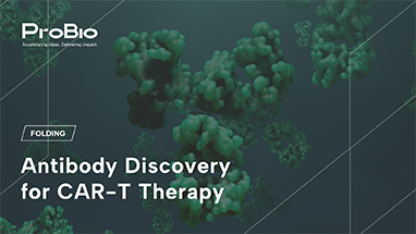 Antibody Discovery for CAR-T Therapy