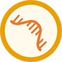 Proprietary PowerS™-PolyAssure Strain for Poly(A) Plasmid