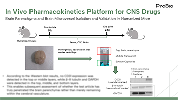 PK study for Central Nervous System Drugs
