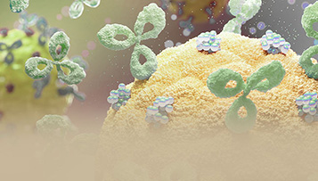 Poster: Optimized Vector System for BsAb Expression in CHO-K1 Cells