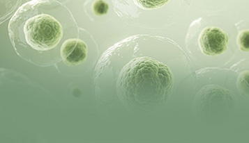 White Paper: Cell Line Development Strategies for BsAb Manufacturing
