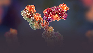 White paper: Analytical Approach for BsAb Quality Study