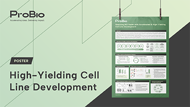 High-Yielding Cell Line Development