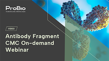 Antibody Fragment CMC On-demand Webinar