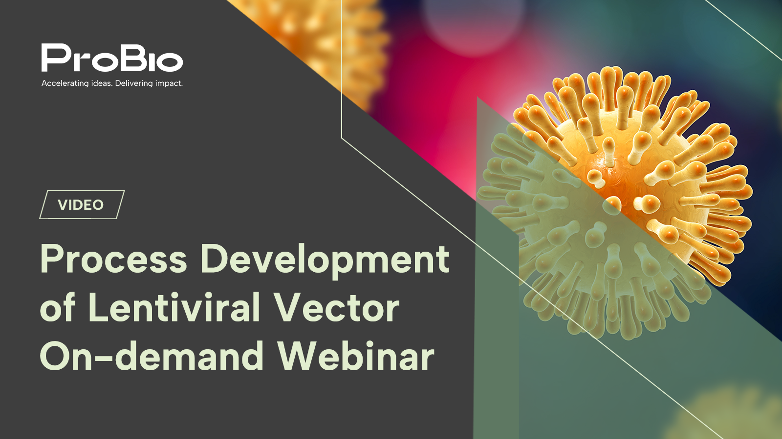Process Development of Lentiviral Vector On-demand Webinar