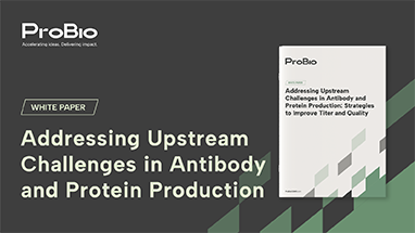 Addressing Upstream Challenges in Antibody and Protein Production