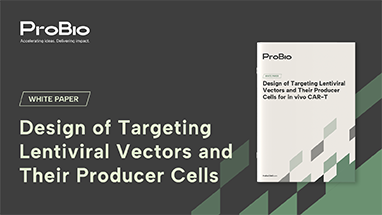 Design of Targeting Lentiviral Vectors and Their Producer Cells