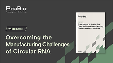 Overcoming the Manufacturing Challenges of Circular RNA