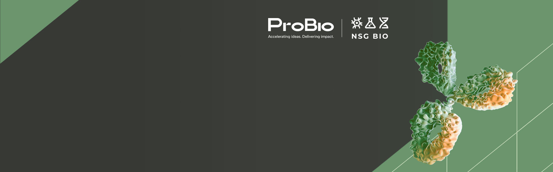 CMC and Regulatory Strategies for Antibody Therapeutics (mAbs, BsAbs & TsAbs)