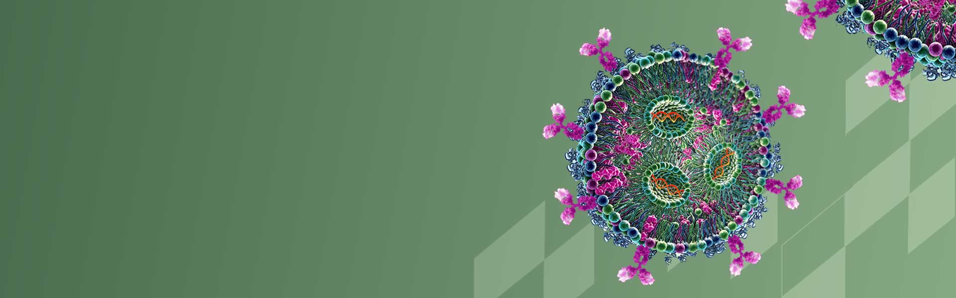 RNA-tLNP One-Stop Solution