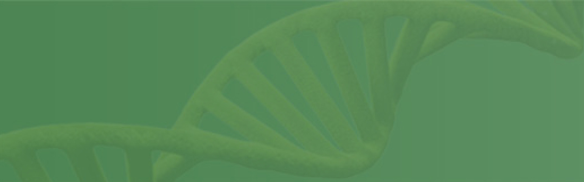Proprietary PowerS™-DNA⁺ Strain