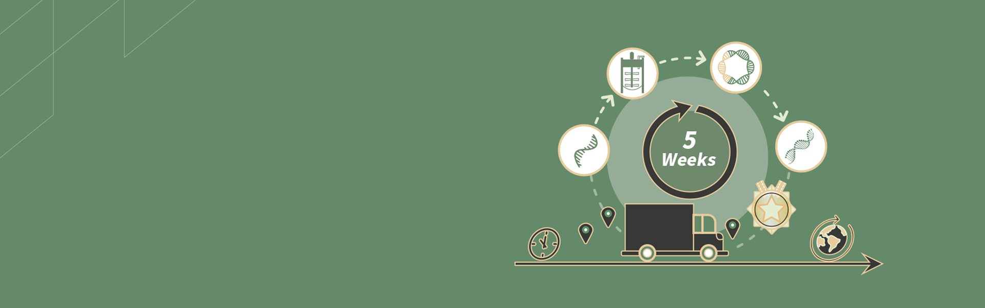 Proprietary PowerS™-DNA⁺ Strain