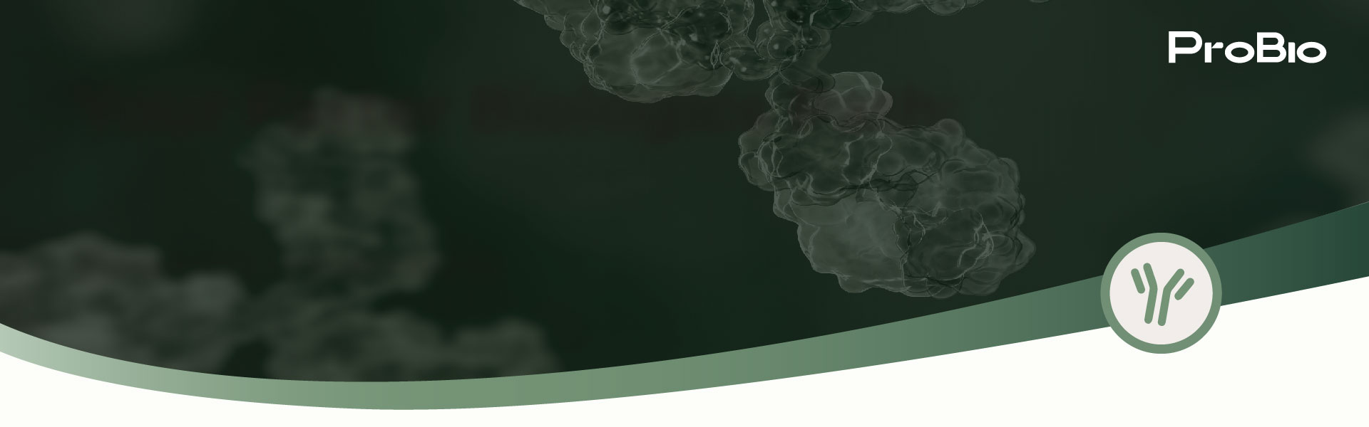 Proprietary PowerS™-DNA⁺ Strain