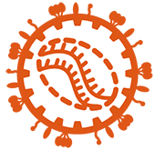 CGT CDMO: lentiviral Vector Drug Product One-stop Solution