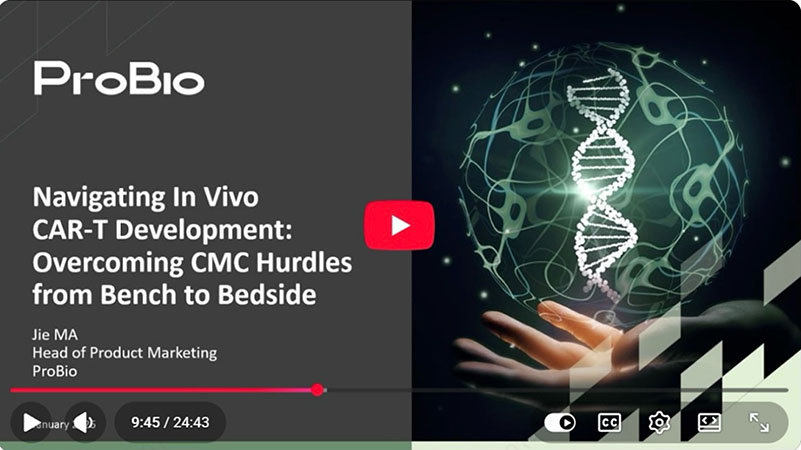 In Vivo CAR T Made Real: Overcoming CMC Barriers